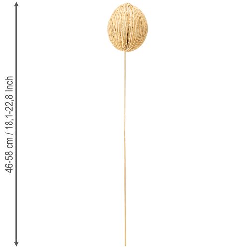 Artikel Mintolla Ball gebleicht 8cm - 10cm L46cm 6 St