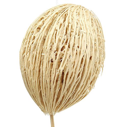 Artikel Mintolla Ball gebleicht 8cm - 10cm L46cm 6 St