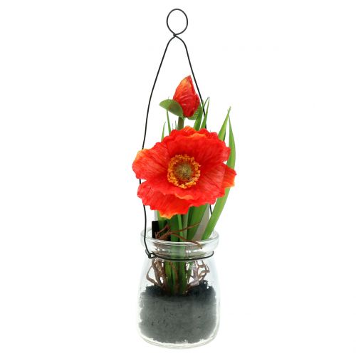 Floristik21 Mohn Orange im Glas zum Hängen H22cm