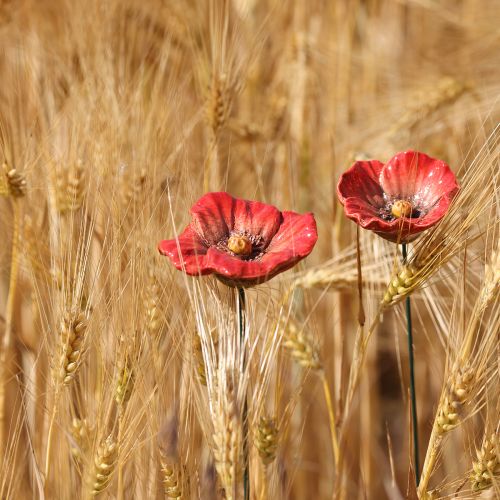Artikel Keramik-Mohnblüten Gartenstecker 31cm Rot Glasiert 6er-Set