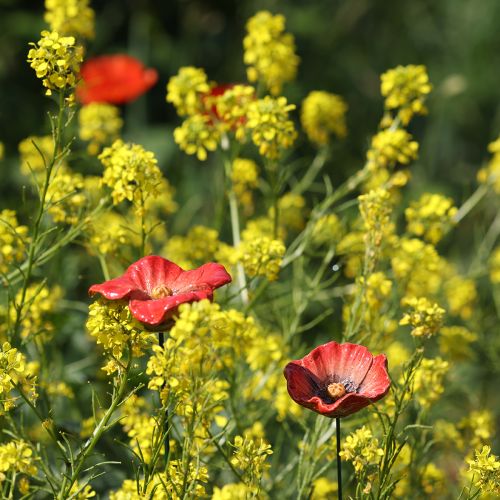 Artikel Gartenstecker Mohnblume aus Keramik 52cm Rot 2er-Set für kreative Gartendekoration