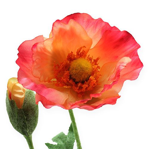 Floristik21 Künstlicher Mohn Pink, Gelb 74cm