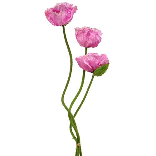 Mohnblumen Rosa 59cm - 75cm 3 St