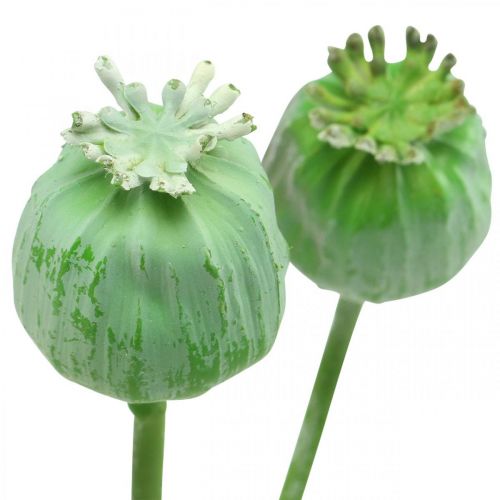 Mohnkapseln Deko Künstlicher Mohn am Stiel Grün 58cm 3St im Bund