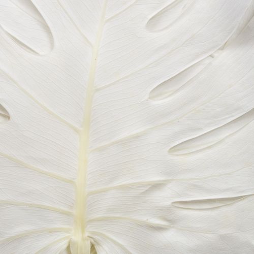 Artikel Gebleichte Monstera Blätter 40cm 5er-Set für elegante Dekorationen