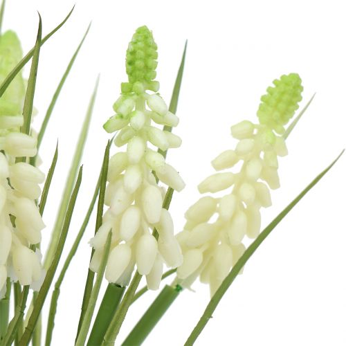 Artikel Traubenhyazinthen im Bund Weiß 30cm 15 St