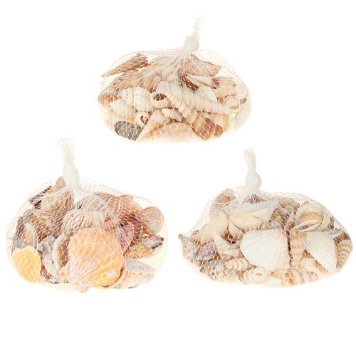 Artikel Maritime Naturdeko Muscheln & Schnecken 350g 3 Stk. - Sommerdeko