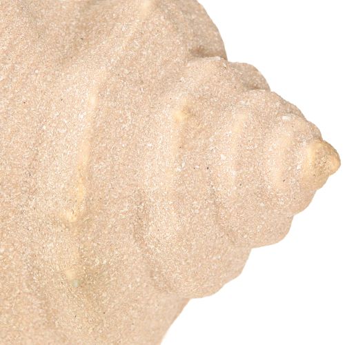 Artikel Maritime Keramik Deko Muschel Blau Beige 16,5×11×9,5cm 2er Set