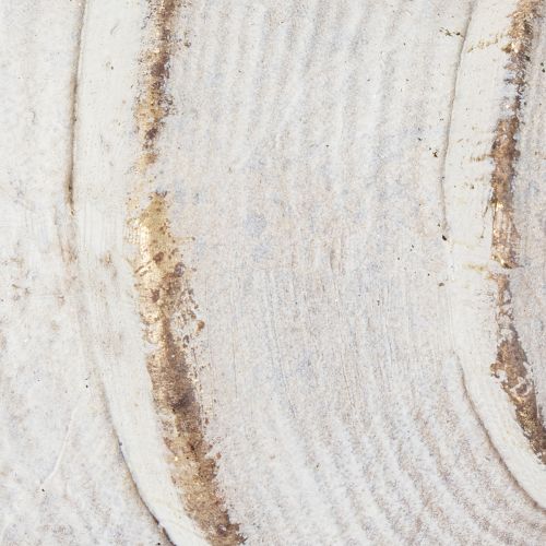 Artikel Dekorative Muschel aus Polystone 44 cm in Weiß-Gold für maritime Dekoration