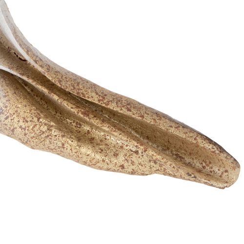 Artikel Dekorative Muschel aus Polystone 44 cm in Weiß-Gold für maritime Dekoration