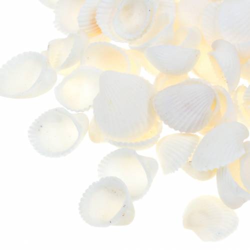Muschelmix Natur 1kg