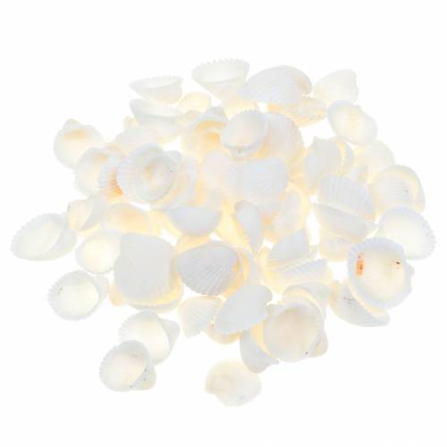 Muschelmix Natur 1kg Muschelmix Natur 1kg