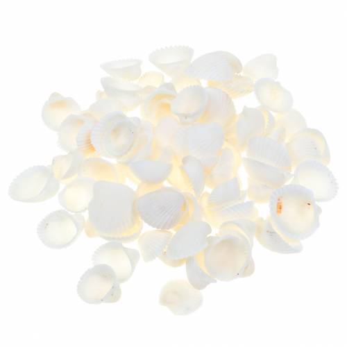 Floristik21 Muschelmix Natur 1kg