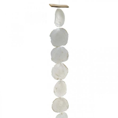 Floristik21 Muschel Girlande Perlmutt Muschelgirlande Capiz 195cm