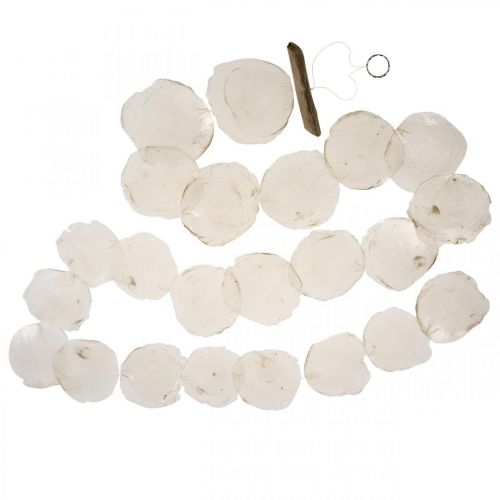 Floristik21 Muschel Girlande Perlmutt Muschelgirlande Capiz 195cm