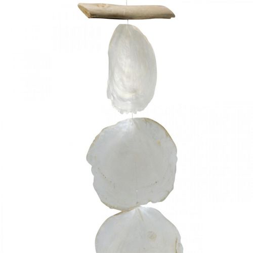 Floristik21 Muschel Girlande Perlmutt Muschelgirlande Capiz 195cm