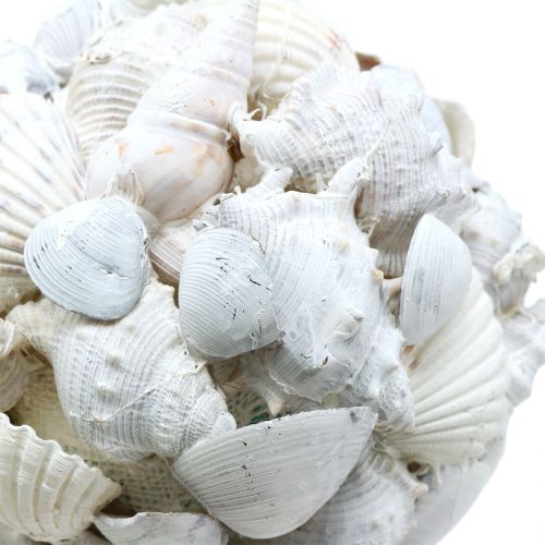 Muschelkugel Weiß Ø10cm