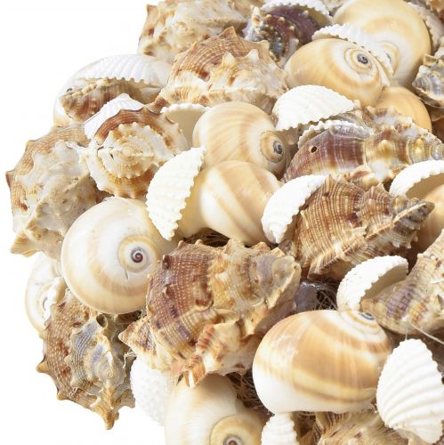 Floristik21 Muschelkranz Schneckenkranz zum Hängen Maritim Ø35cm