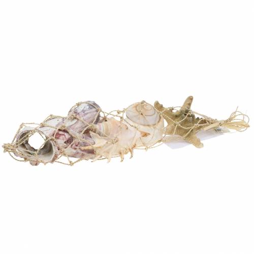 Muschelmix Natur Sortiert 5St