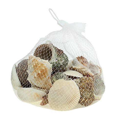 Floristik21 Muschelmix für Maritim-Dekoration Natur 400g