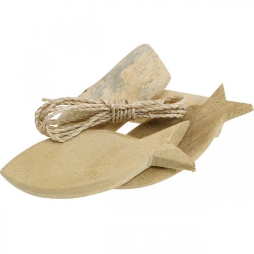 Floristik21 DIY-Box Maritim Natürliche Muscheln Holzdeko Deko-Set sortiert