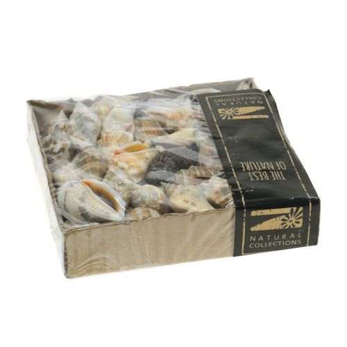 Muschel Mix Natur 3cm – 5cm 200g