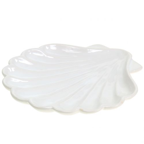 Dekoschale Muschel Weiß 15cm x 16cm 3St Dekoschale Muschel Weiß 15cm x 16cm 3St
