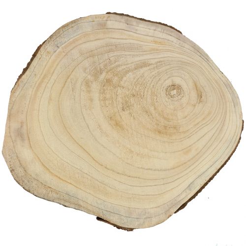Baumscheibe Blauglockenbaum Natur Ø35–45cm