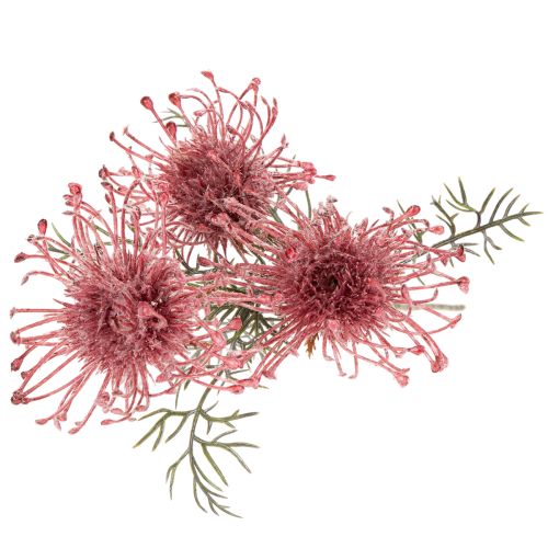 Kunstblume Protea Nadelkissen Zweig 65cm Rosa-Grün 3er Set | Floristik21.de