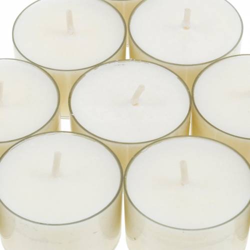 Floristik21 PURE Nature Lights Teelichter Rapswachs Natur Brenndauer 7 Stunden 18 St