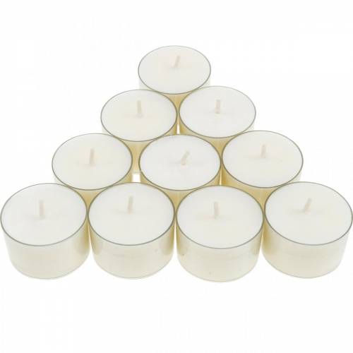Floristik21 PURE Nature Lights Teelichter Rapswachs Natur Brenndauer 7 Stunden 18 St
