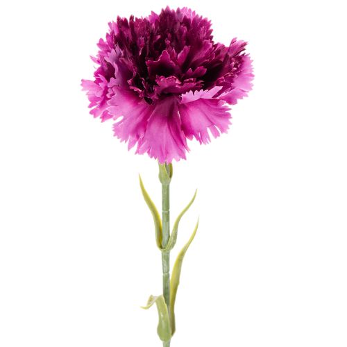 Nelke Kunstblume zweifarbig 56 cm 8er Bund Kunststoff/Textil
