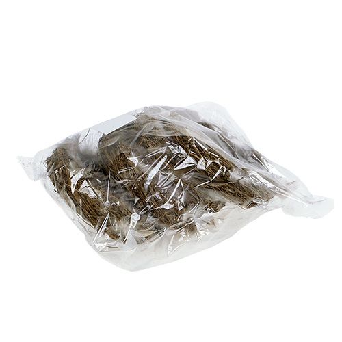 Floristik21 Nest mit Federn 15cm Natur 4St