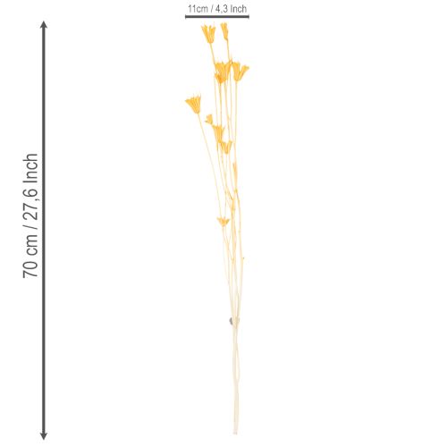 Artikel Nigella Trockenblumen-Arrangement 70cm 50g Innen- und Außendekoration