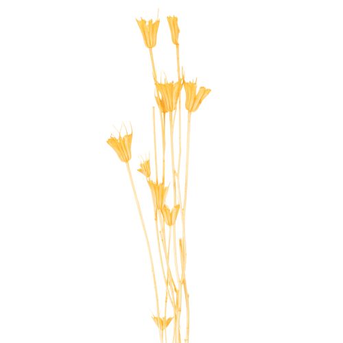 Artikel Nigella Trockenblumen-Arrangement 70cm 50g Innen- und Außendekoration