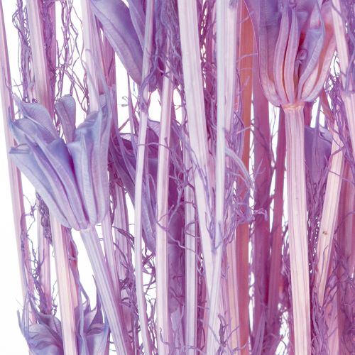 Artikel Trockenblumenstrauß Nigella Lila 70cm Wohnzimmerdekoration