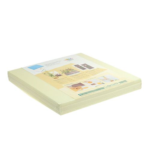 Floristik21 OASIS® Designer Platten Ivory Elfenbein 3St