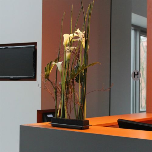 Artikel OASIS® Black Table Deco Medi Steckschaum 4 St