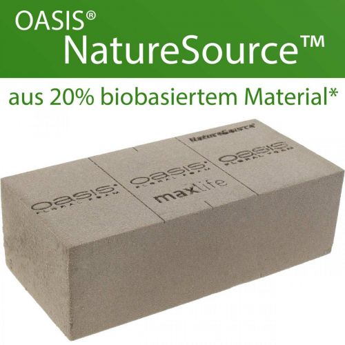 Floristik21 OASIS® BIOLIT® NatureSource Ziegel Steckschaum 23cm×11cm×7cm 10St