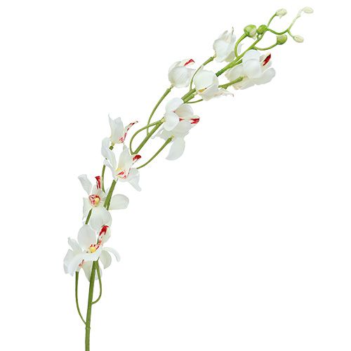 Floristik21 Orchidee Mokara Weiß 92cm 3St