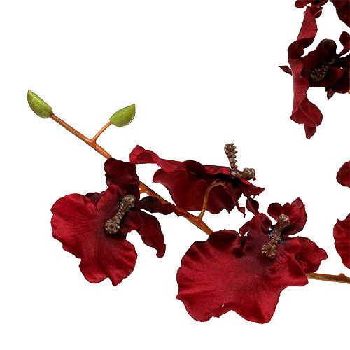 Artikel Orchidee Oncidium 70cm Dunkelrot 3St