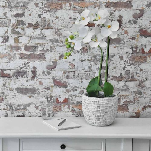 Floristik21 Orchidee Weiß auf Erdballen 65cm