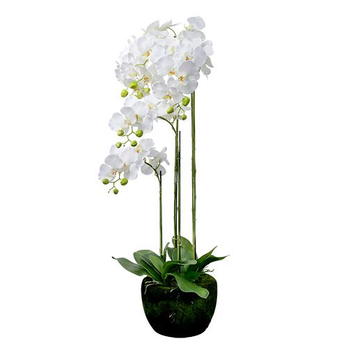 Floristik21 Orchidee Weiß mit Erdball 110cm
