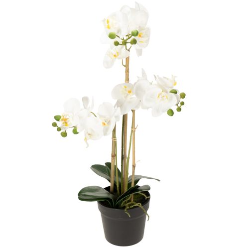 Künstliche Orchidee im Topf weiß 60cm – Langlebige Dekoration mit stilvoller Eleganz