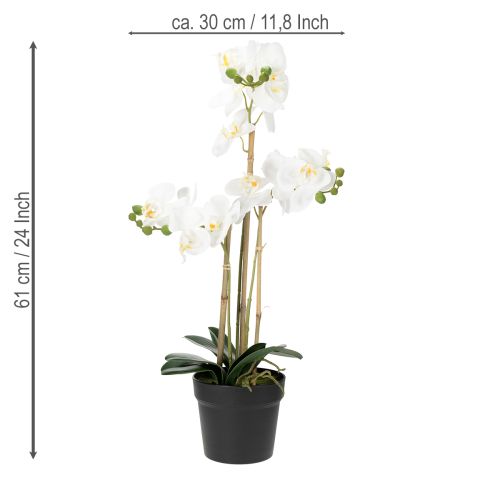 Artikel Künstliche Orchidee im Topf weiß 60cm – Langlebige Dekoration mit stilvoller Eleganz