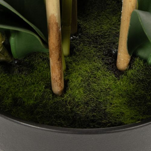 Artikel Künstliche Orchidee im Topf weiß 60cm – Langlebige Dekoration mit stilvoller Eleganz