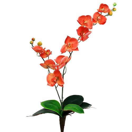 Floristik21 Orchidee zwei Äste 60cm Orange