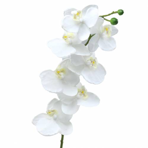 Floristik21 Künstliche Orchidee Kunstblume Weiß Ø6,5-8cm 77cm