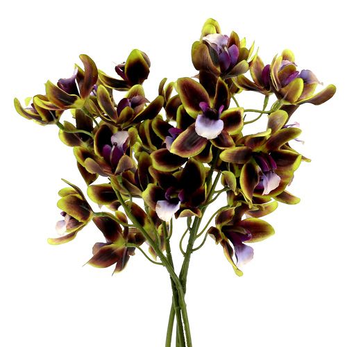 Floristik21 Orchidee Cymbidium Grün, Lila L38cm 4St