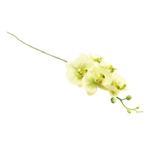 Artikel Orchidee Künstlich Gelb Grün Phalaenopsis 85cm